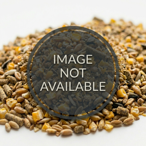 Image not available